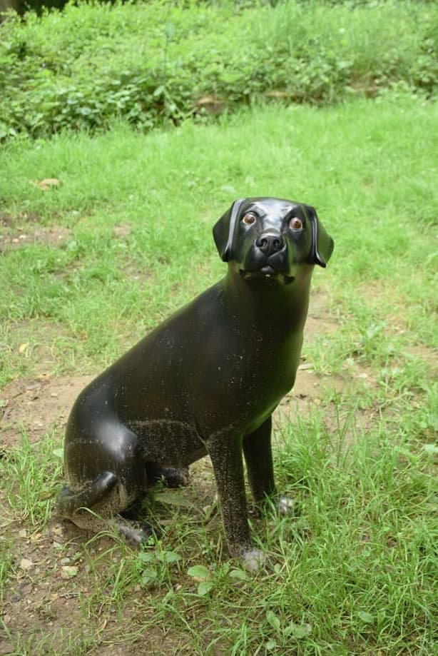 Chienne de vie